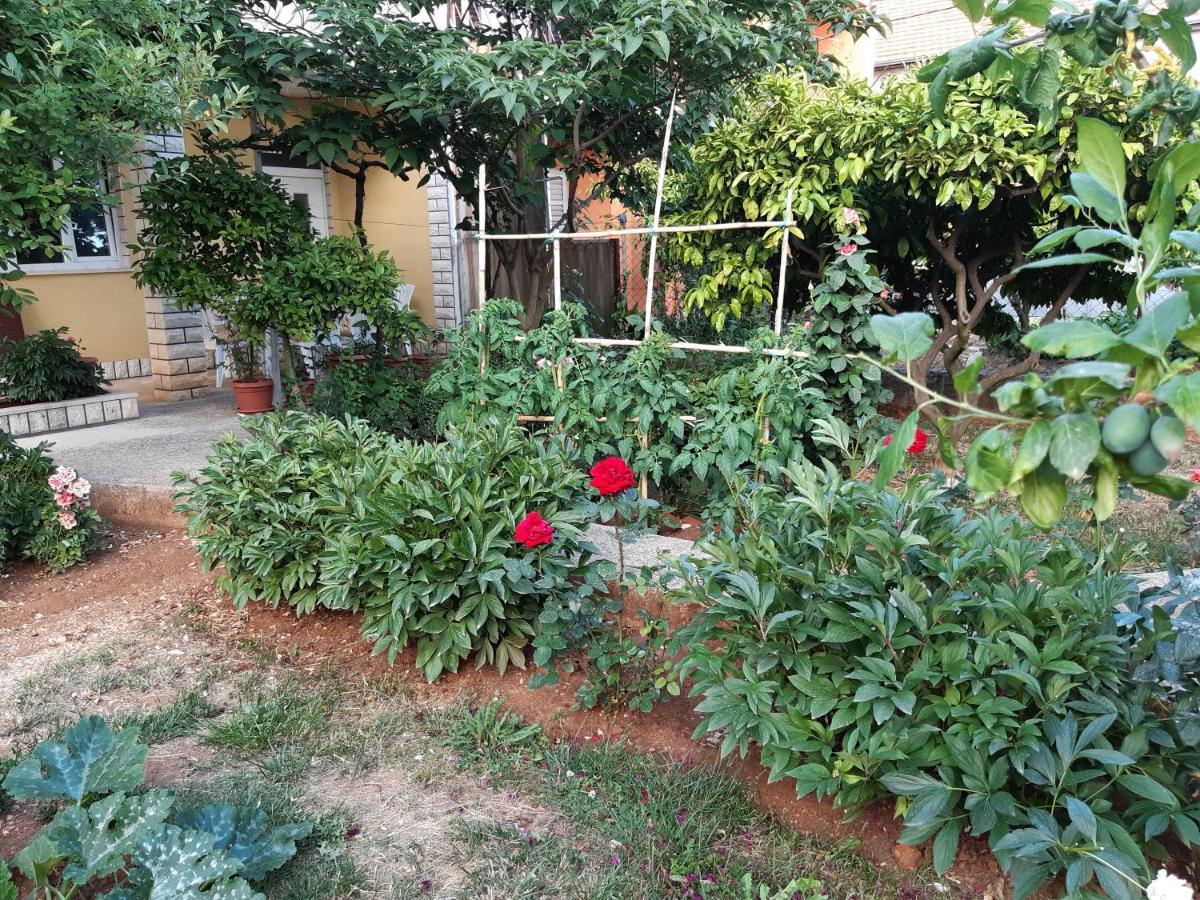 Apartment Jardin With Free Cowered Parking Zadar Exterior foto