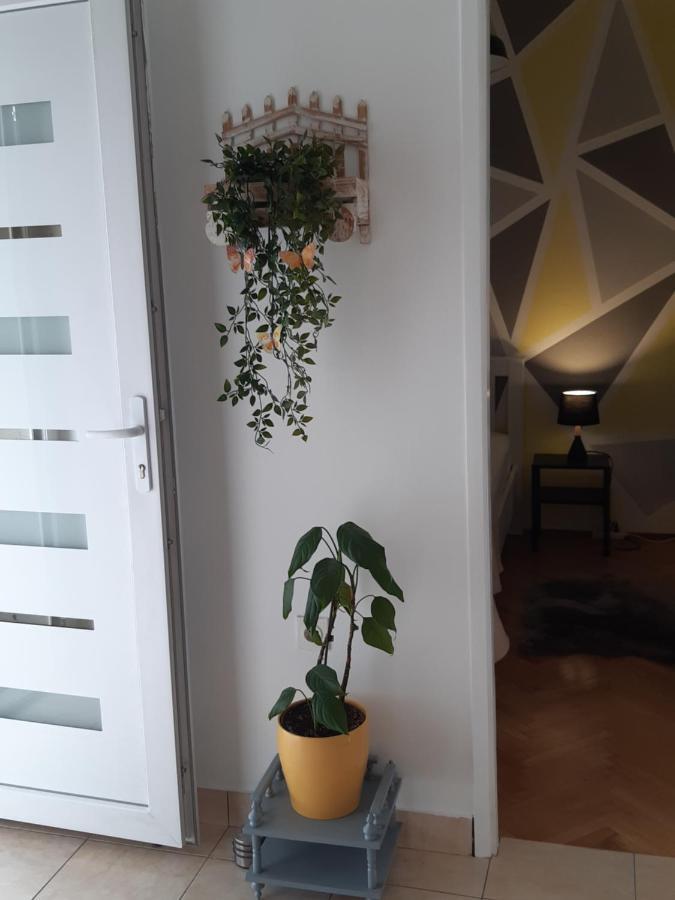 Apartment Jardin With Free Cowered Parking Zadar Exterior foto
